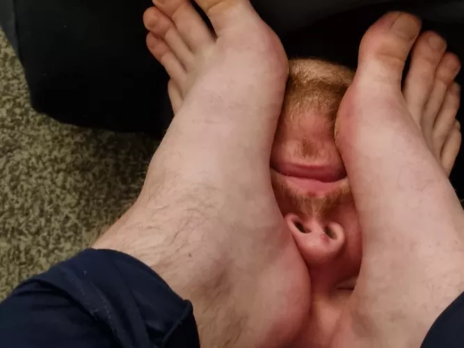 Want to be turned into a domestic slave and furniture.  UK