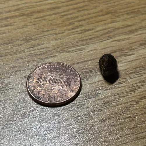 Wasn’t hearing great out of my left ear until…