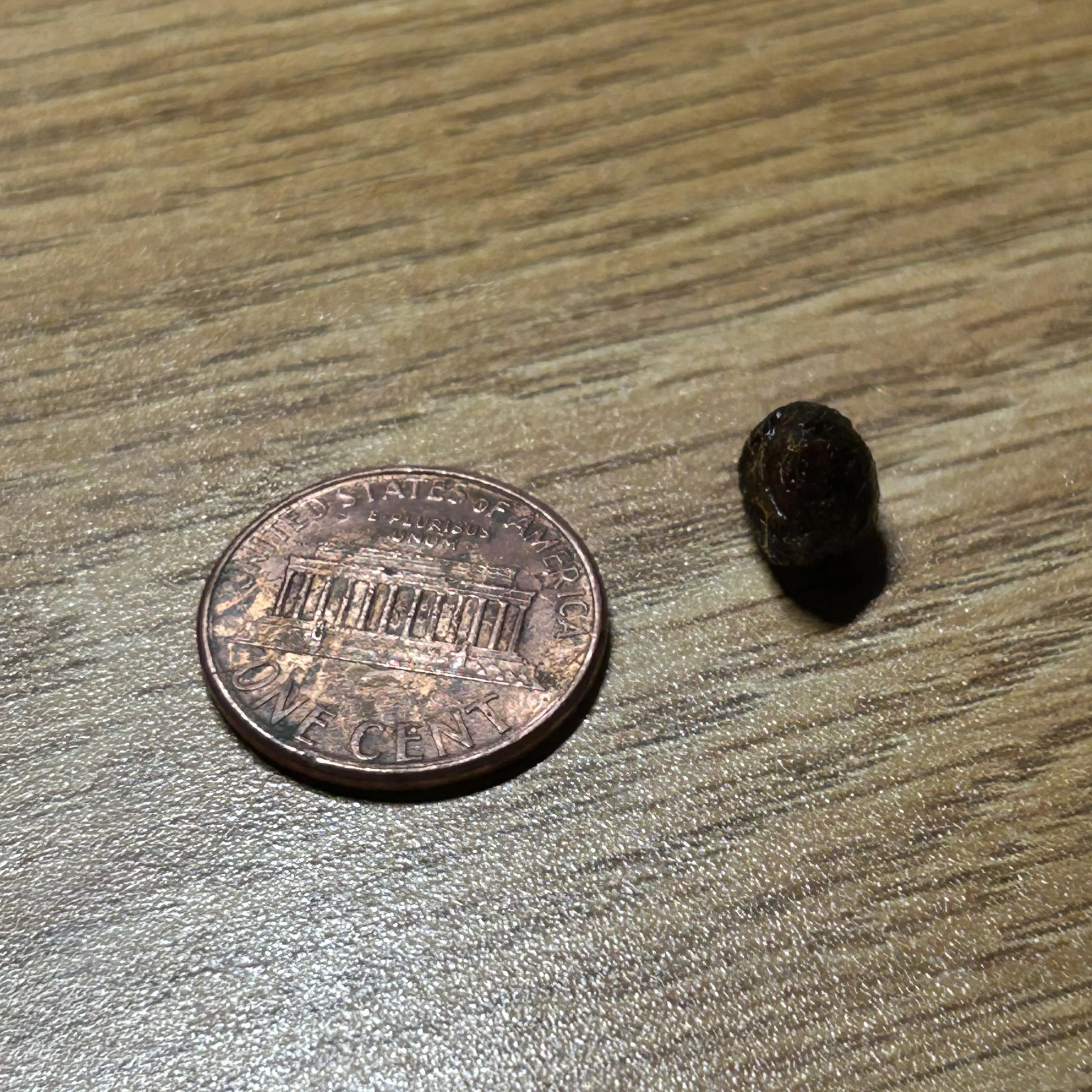 Wasn’t hearing great out of my left ear until…