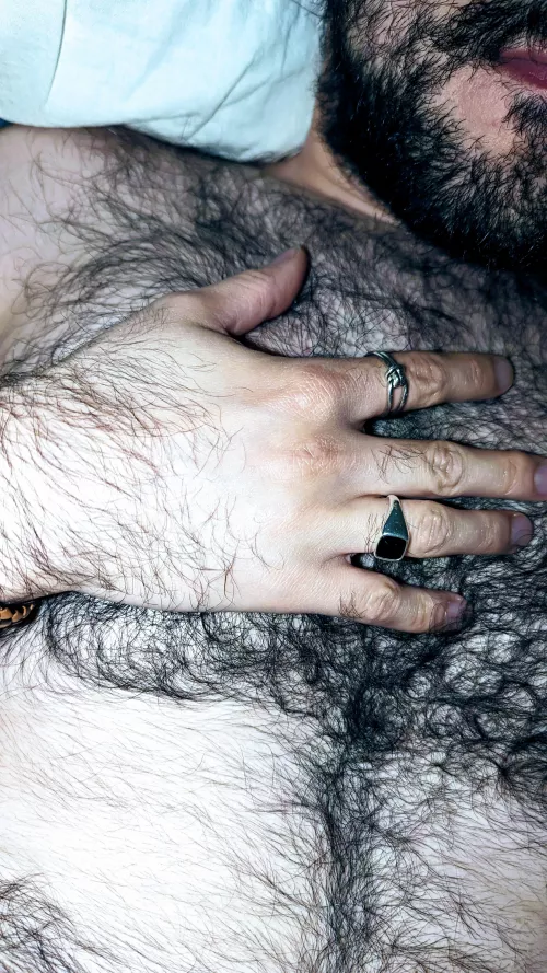 Welcome to the forest 