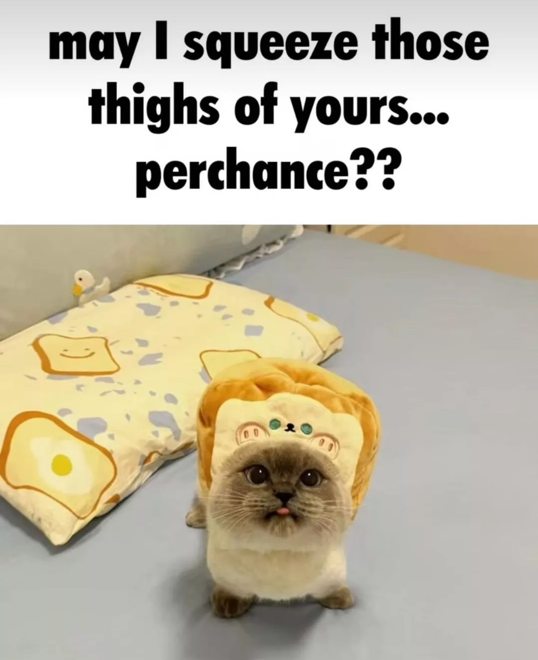 What'd I'd look like asking my gf if I could squeeze, if I had one What'd I'd look like asking my gf if I could squeeze, if I had one