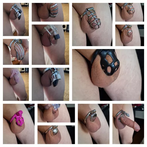 Whiche one is your fav?