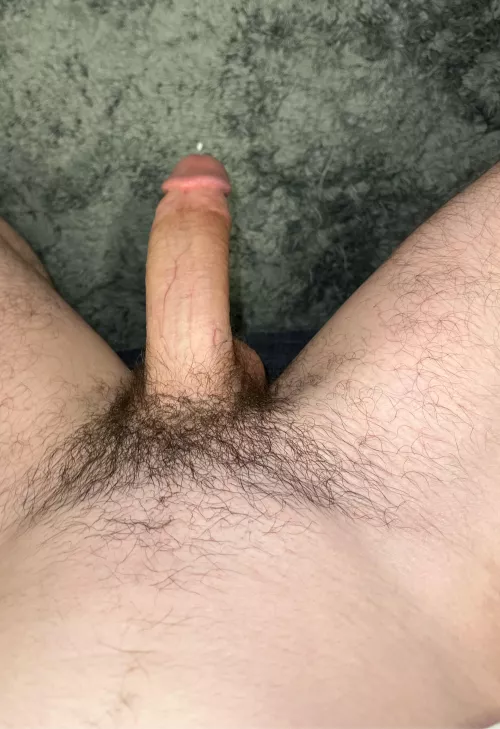 18 m. horny af.. anyone add. finn236785