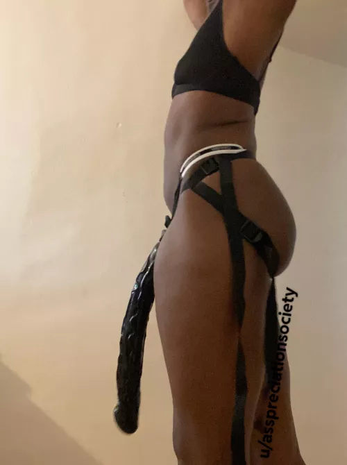 Any takers for my BBC?