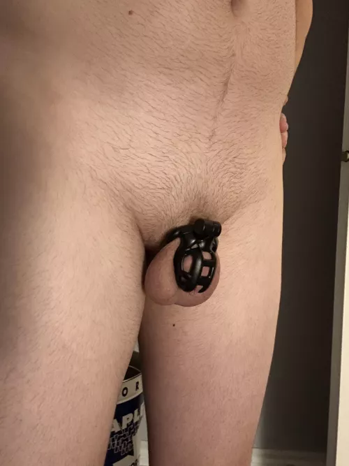 Caged for bed then off on vacation tomorrow 