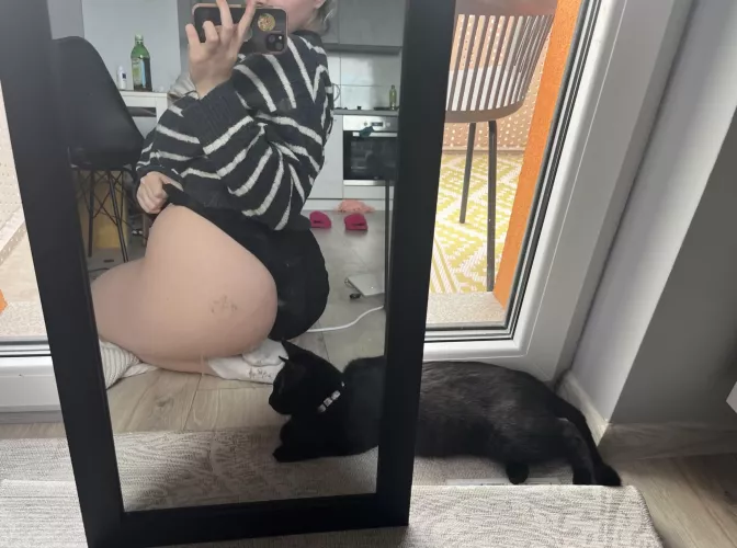 Can I park it on your face please