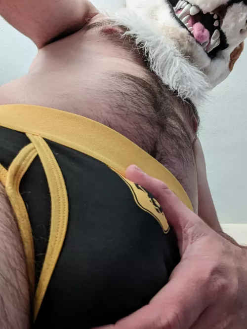 Come closer, pup.  I've got something for you.