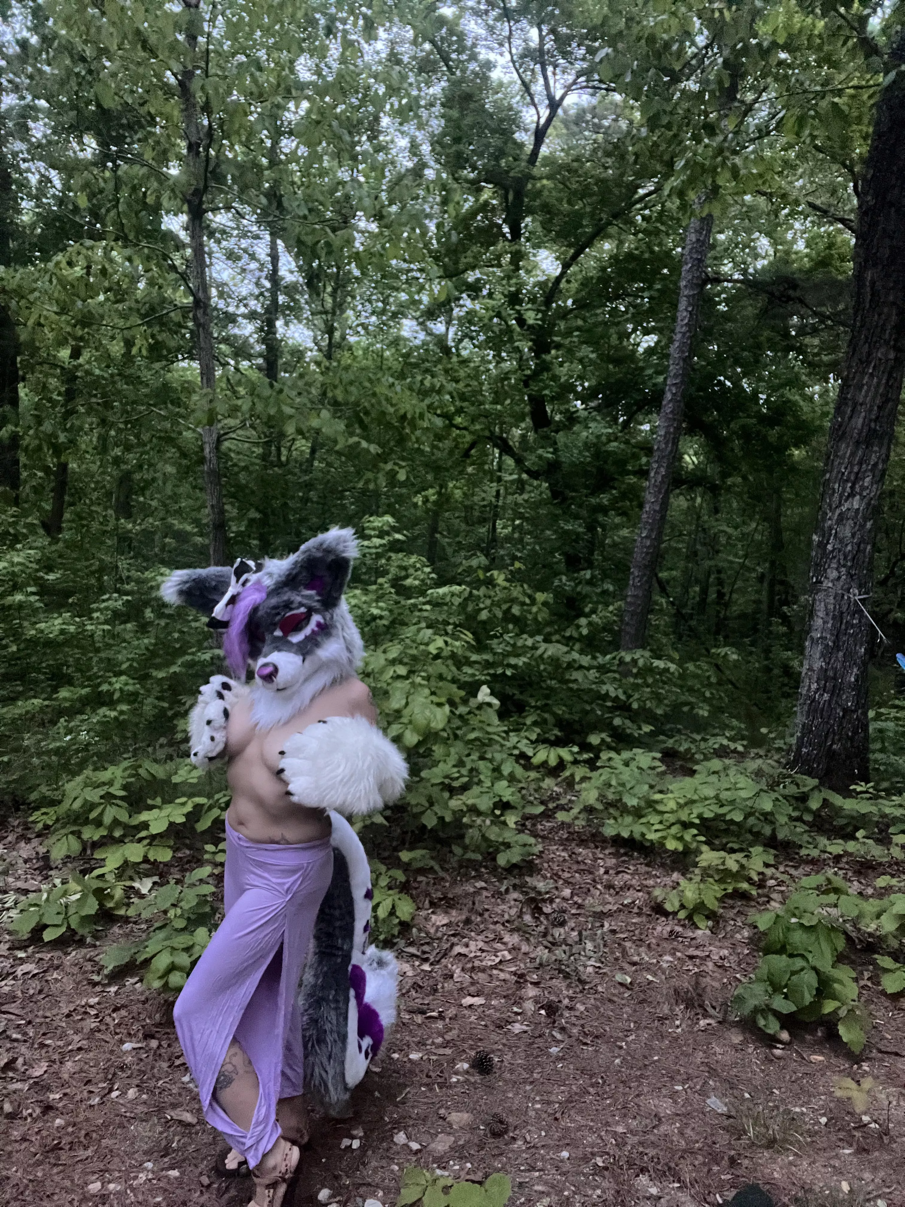 Come play with me in my territory 