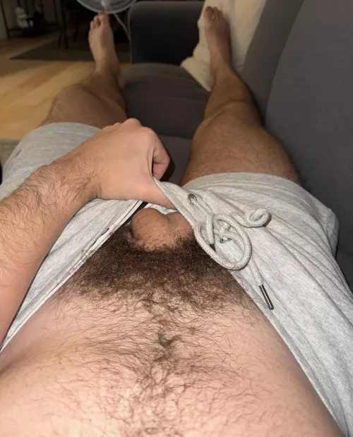 Do you like my pubes?