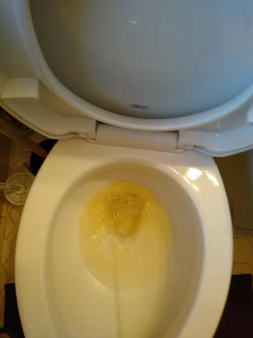 Dom 💪 4 Piss Pigs 🐖