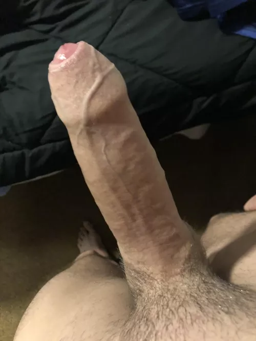 Drain my cock