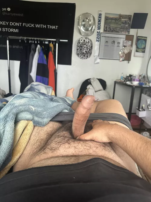 drain my cock