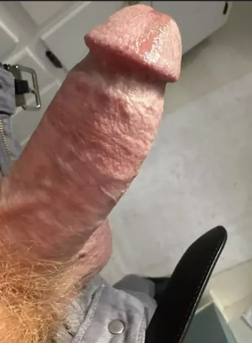Ginger cock