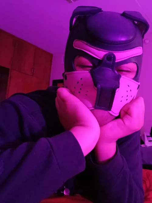 Good afternoon pups!!