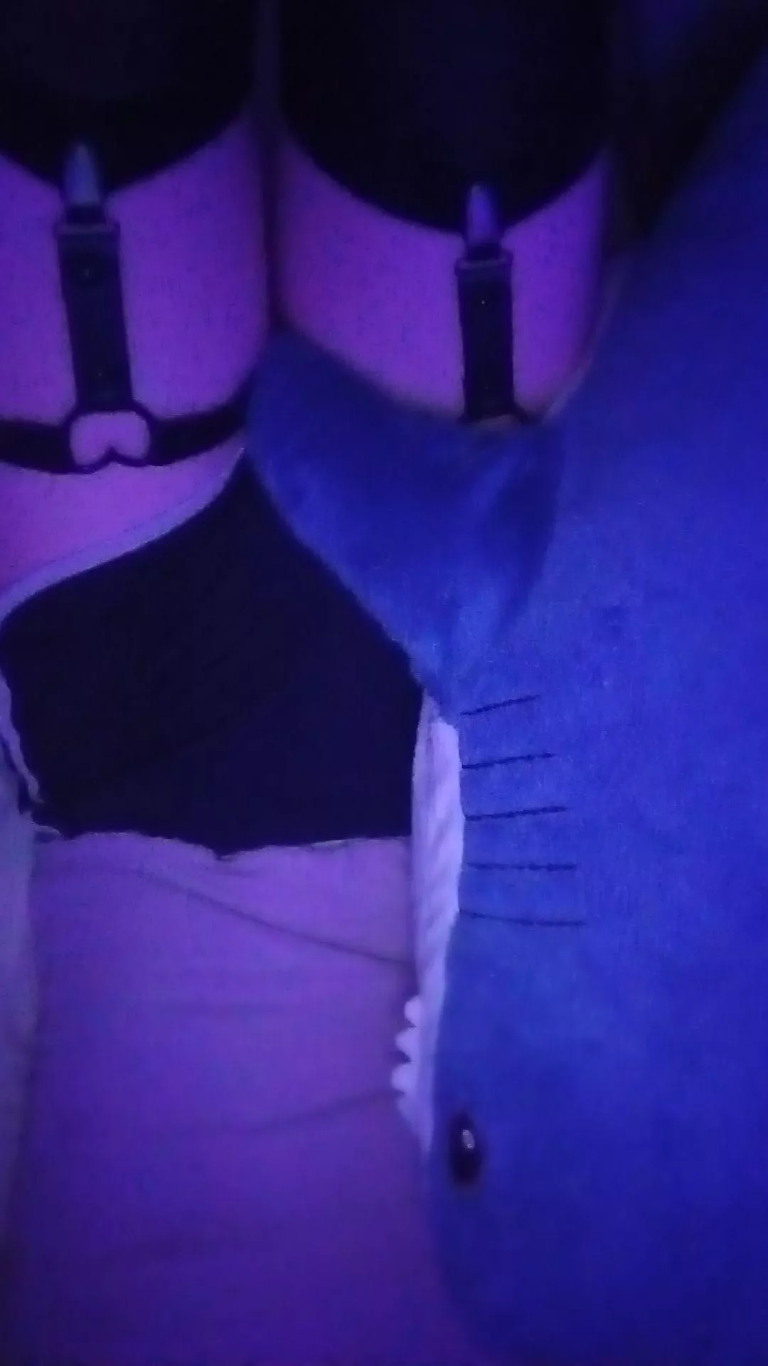 HEWWOO!! cuddling with shark friend :3