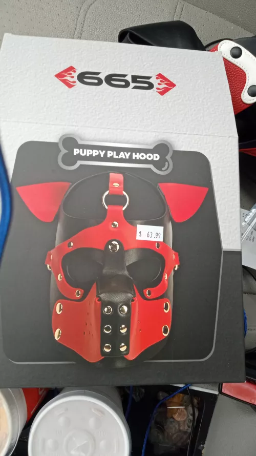 Hi! Long time furry, first time pup. I got a couple of questions, and I hope someone might be able to answer. Questions and comments