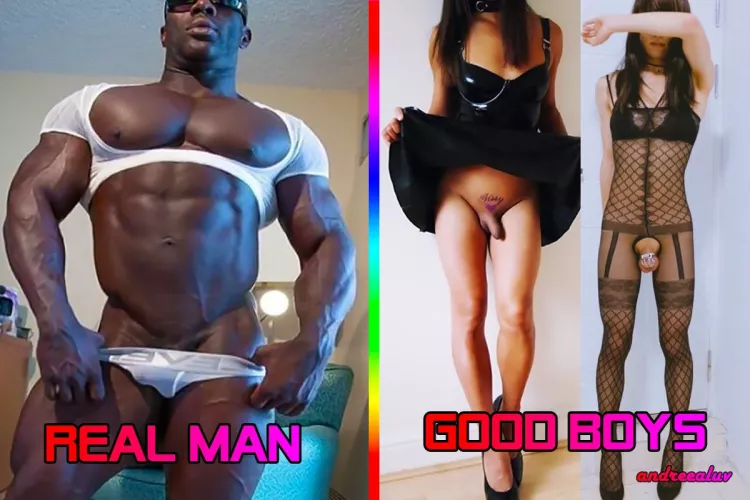 I am one of the good boys 🤩, you ?