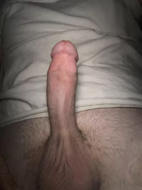 If you were my neighbor wwyd?