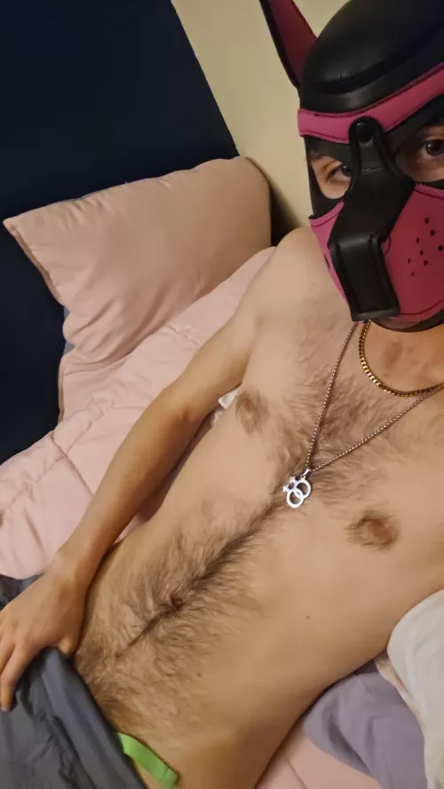 I'm in a huge pup headspace rn :3