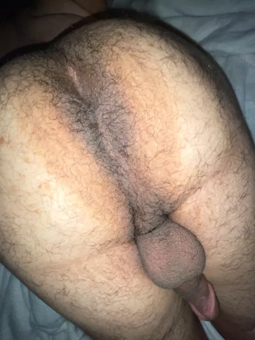 Is my ass hairy enough?