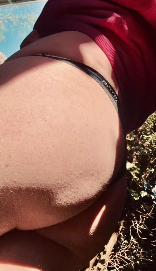 Is that an eclipse? Nope, my ass!