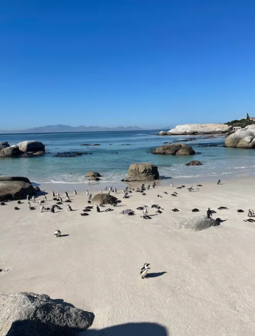 Little guys are having the time of their lifes