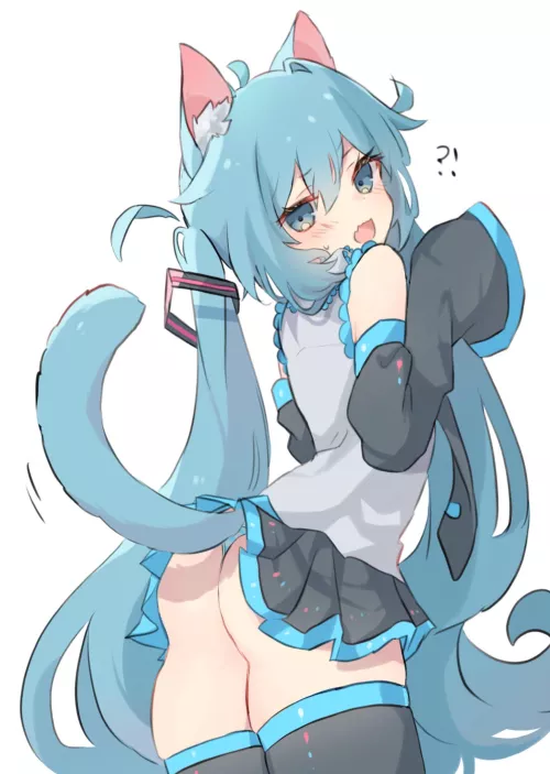 Miku-San please put on some cat ears!