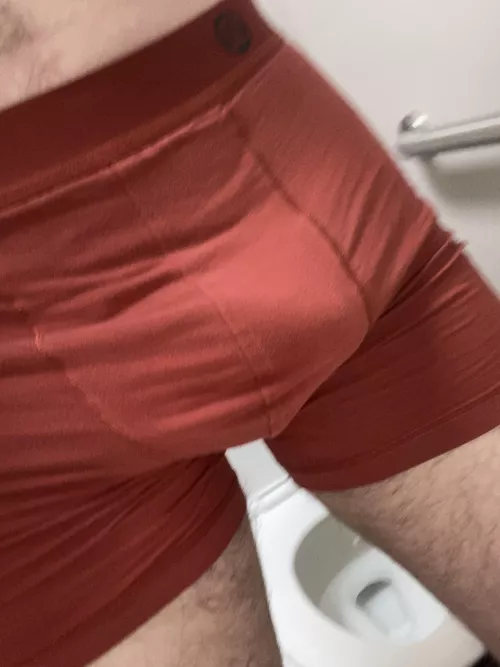 Outline of the whole thing