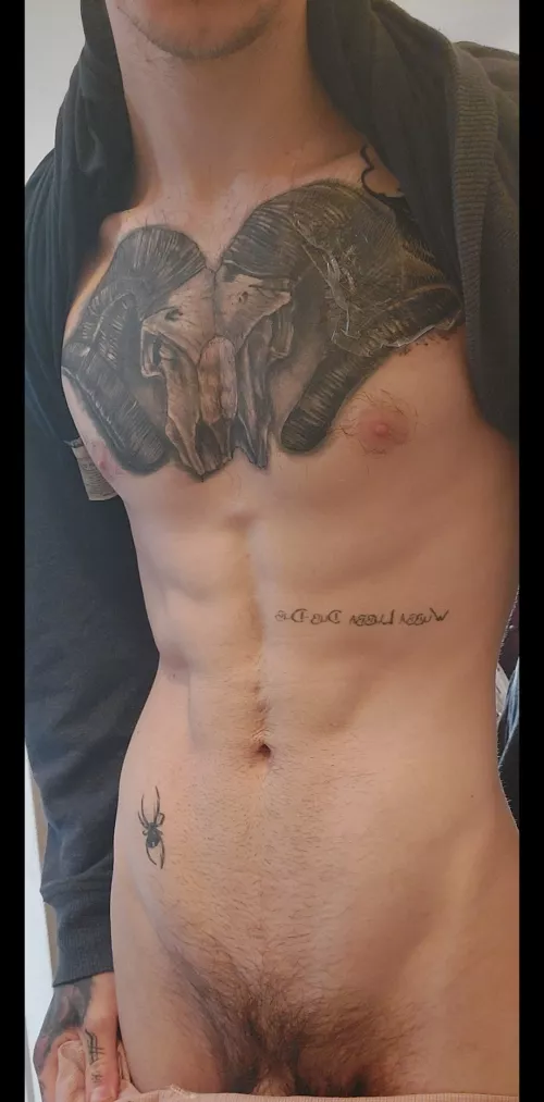 Shaved the trail, thoughts?