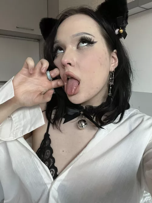 this naughty cat needs to be punished