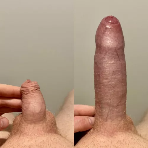 Very covered to mostly covered