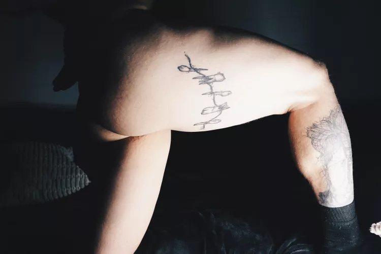 What are fans for? Spotting? 