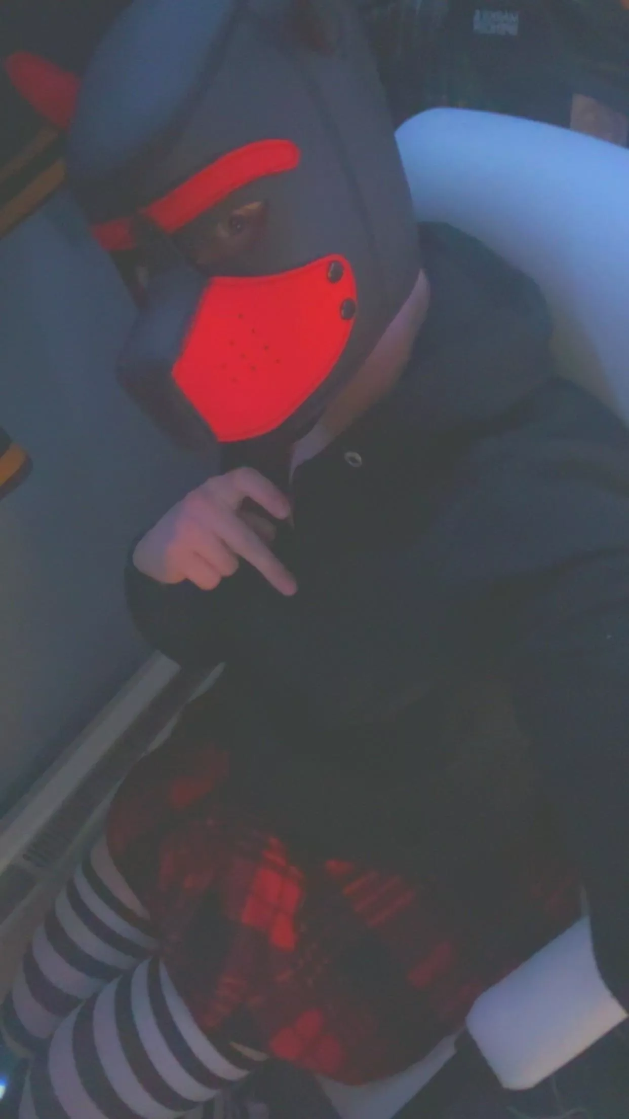 Who likes cute fem pups