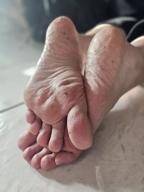 Who wants to clean them for me 