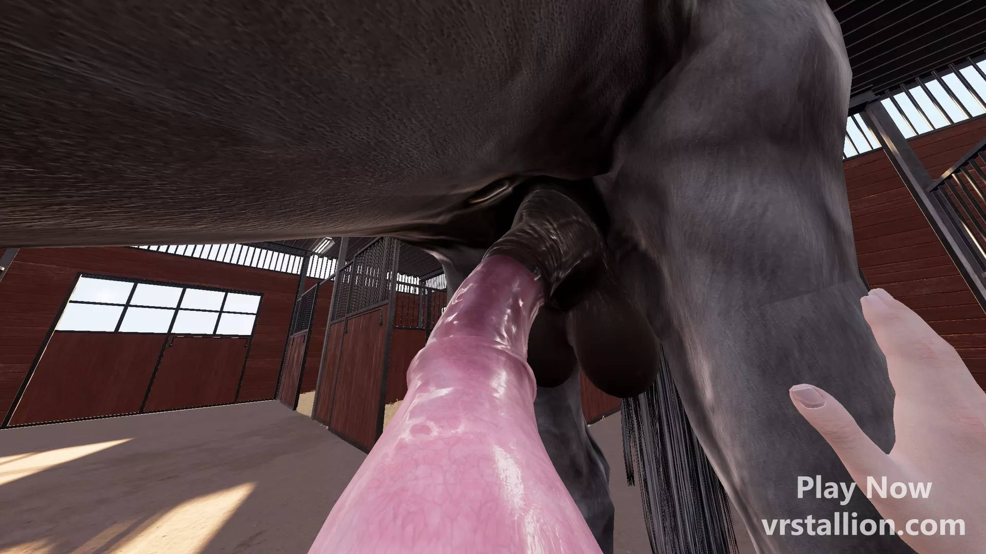 Who's Next? (VR Stallion)