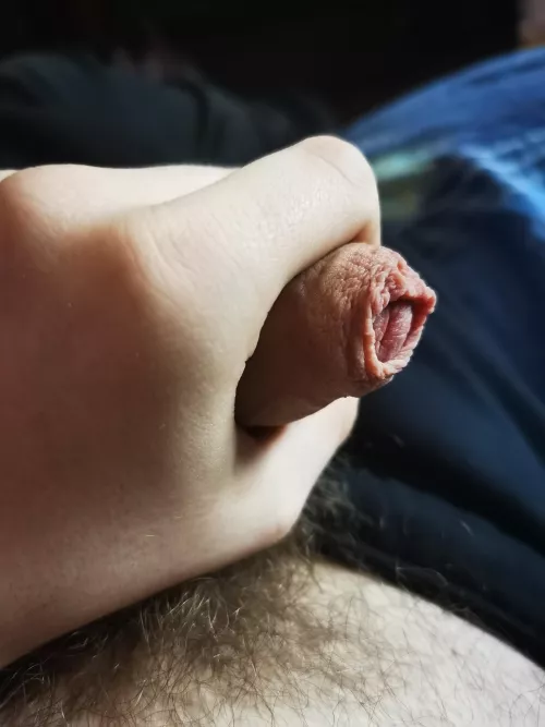 (19) I hope you like foreskins as much as I do, so here's mine
