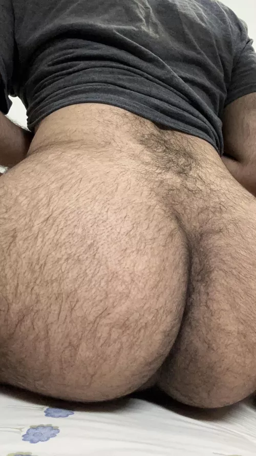 24 in shape Arab very discreet with a big furry ass. Let’s have fun, 👻Snapp me: FurryExec