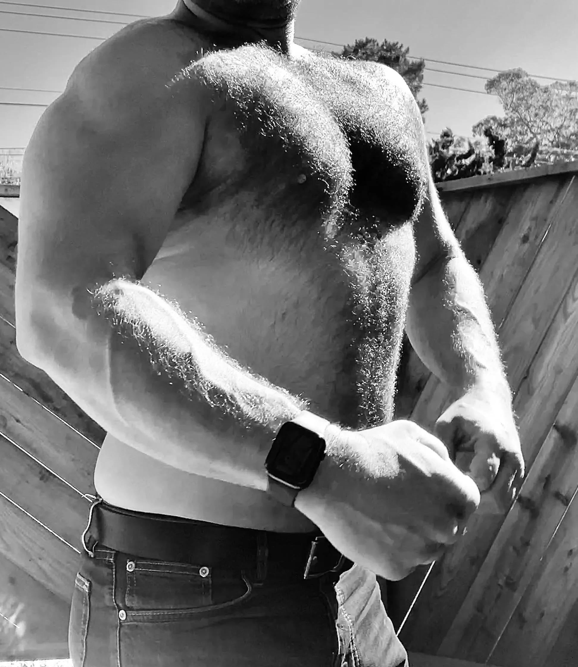 39 M SantaCruz, CA - XXXL BWC muscle stud