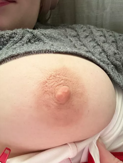 a perfect little areola for you to enjoy