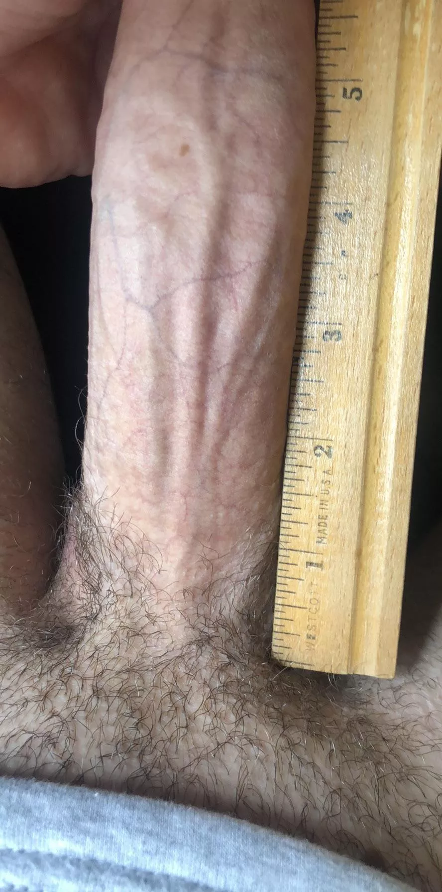 Admit it if ur cock ends before the end of this photo 📏