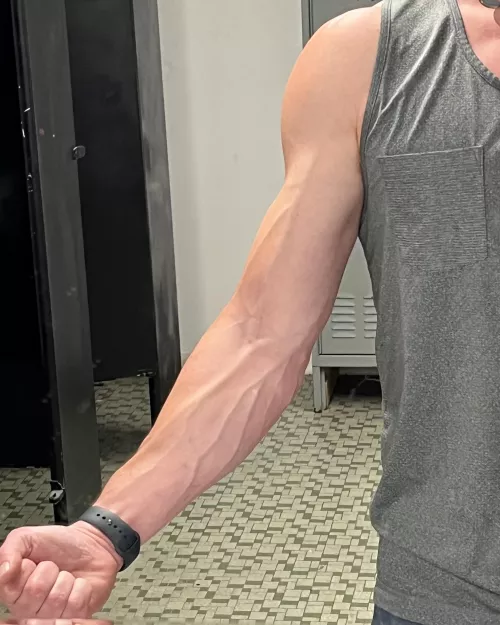 Deadlift day always gives that good pump. 