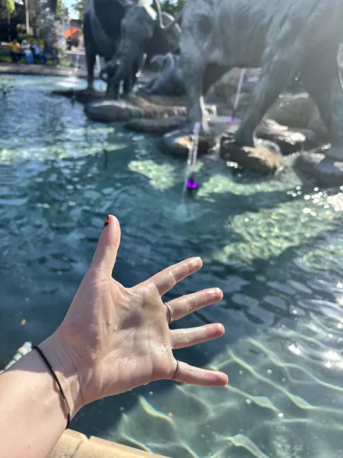 Dipped in the fountain