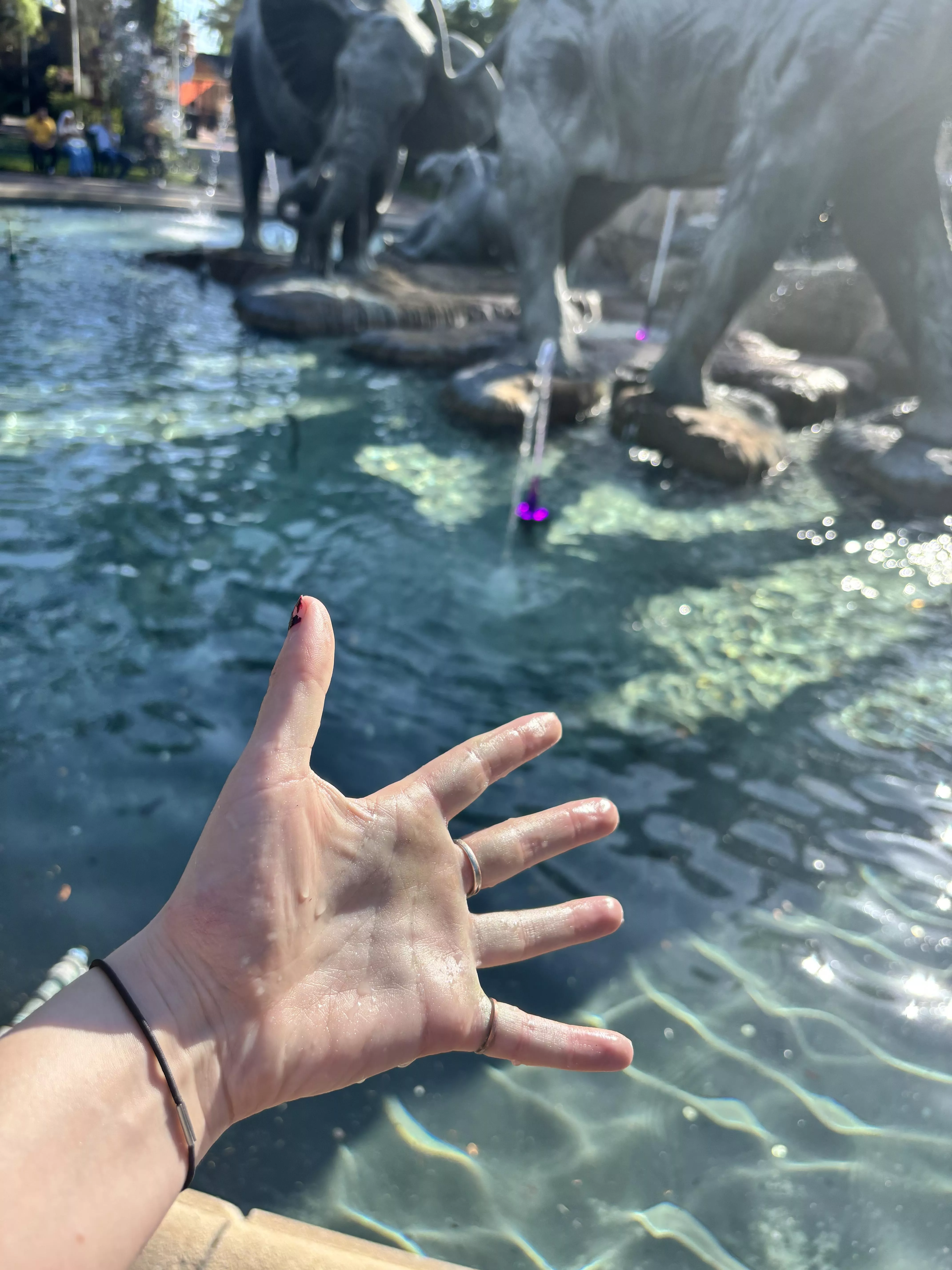 Dipped in the fountain