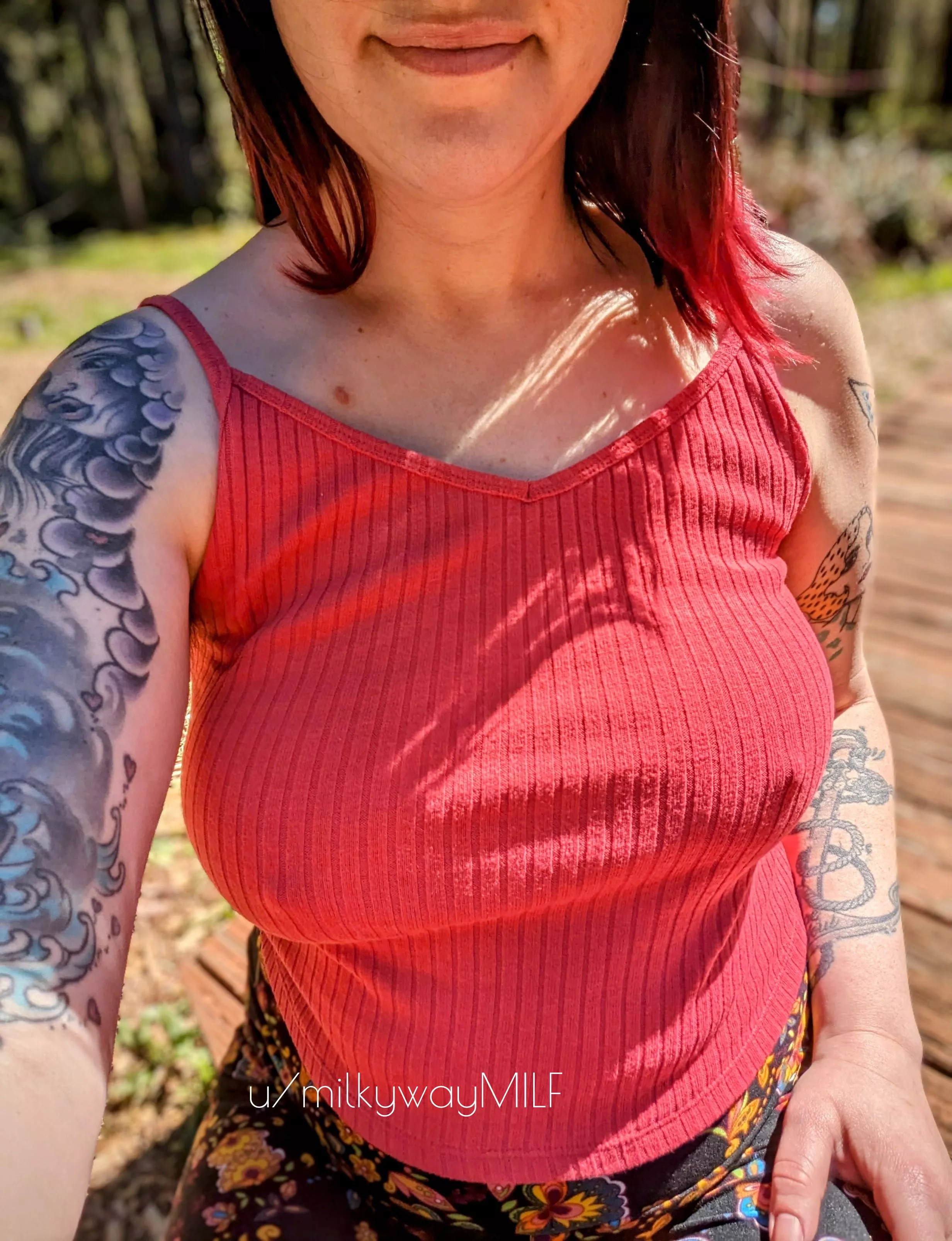 Enjoying the sunshine 