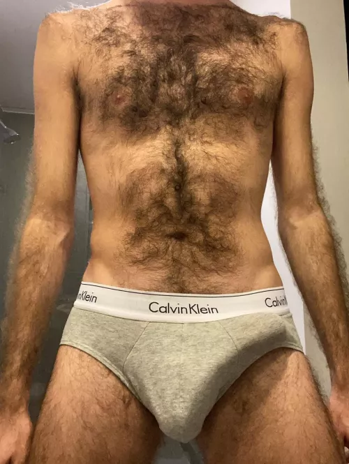 hairy n hung