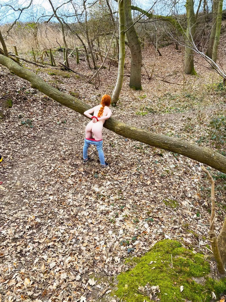 If you go down to the woods today... 😳