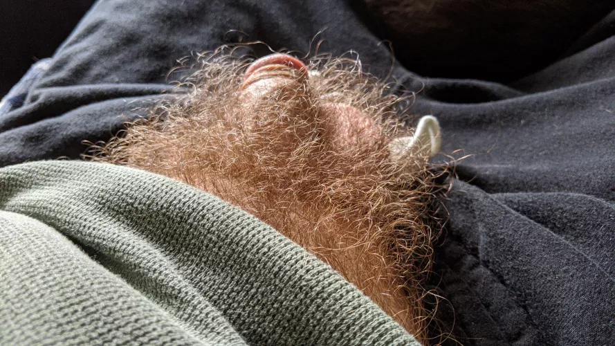 It's a jungle down there 