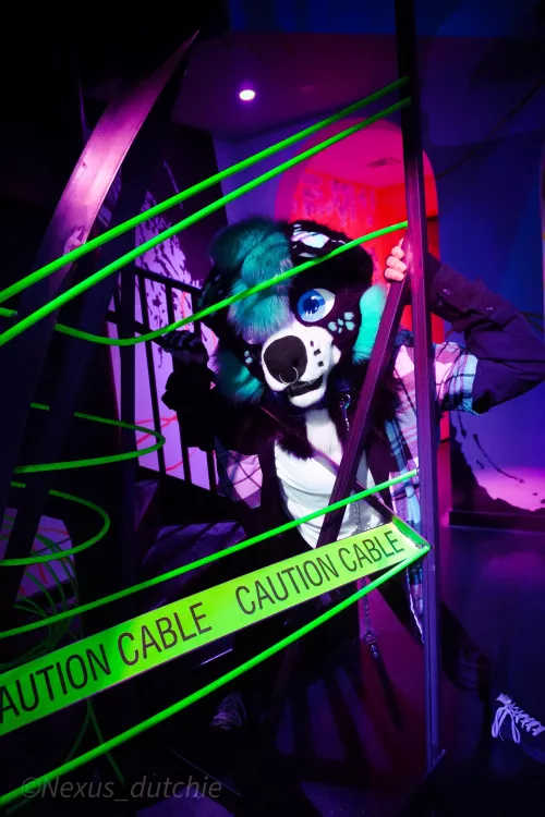 Looks like there’s a scary dog ahead. (What do you do?)