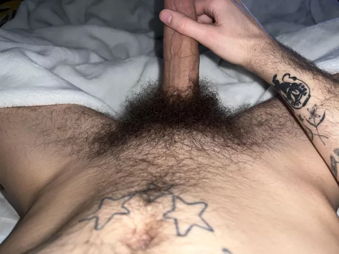 need someone’s face in it