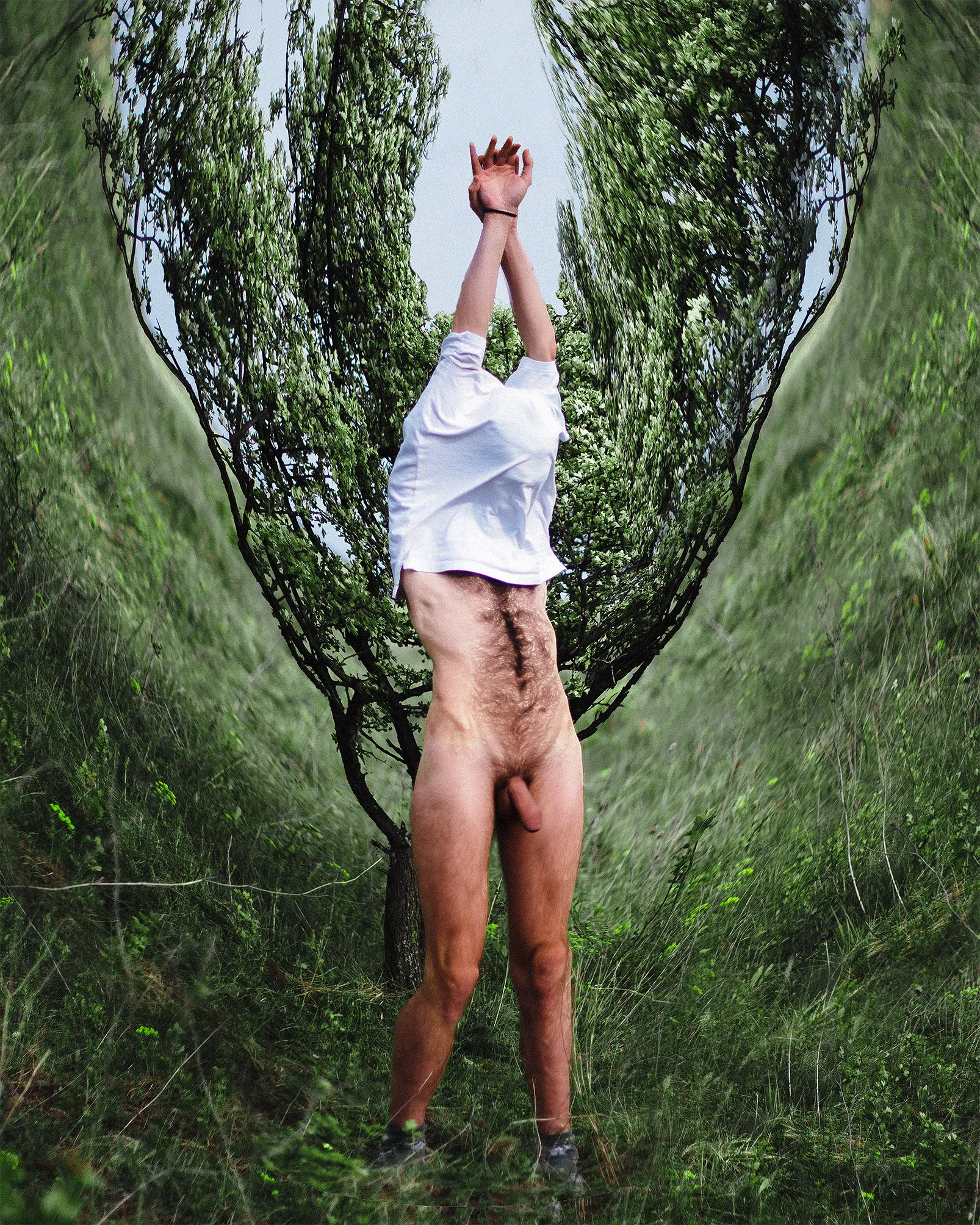 Plunge into the world of wild nature